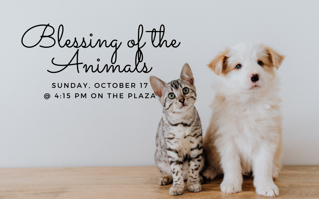 Blessing of the Animals – October 17, 2021