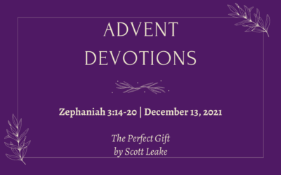 The Perfect Gift | 2021 Advent Devotions