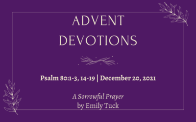 A Sorrowful Prayer | 2021 Advent Devotions