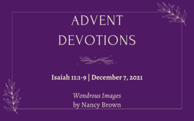 Wondrous Images | 2021 Advent Devotions